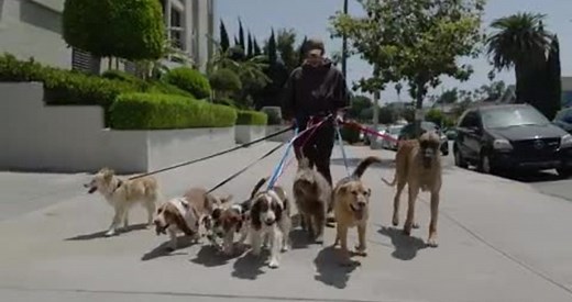 Bad Bunny - Yonaguni (Official Video)