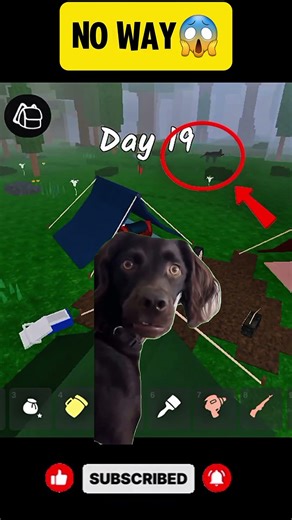 Found Ruby Chest ➜ 🐺 Killed Alpha Wolf ➜ 🌿 Thorn Body | 99 Nights #roblox #skibiditoilet #minecraft