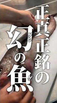 幻魚と書いてゲンゲ！ポチったら届きました！ #青森 #八戸 #シロゲンゲ #未利用魚 #魚ポチ