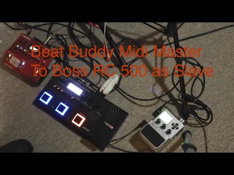 Beat Buddy As Midi Master to Boss RC500 looper as slave