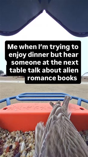 Magan Vernon on Instagram: "Me when I’m trying to enjoy dinner but hear someone at the next table talk about alien romance books. #amreading #birdbuddy #alienromance"