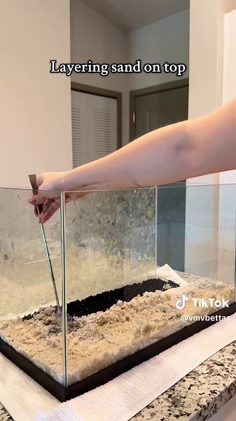 Building a new tank for Nemo! #fishtok #bettatok #bettafish #fishtank #aquascape #bettatank #