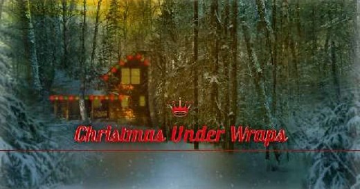 Christmas Under Wraps - Preview