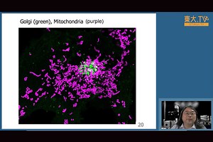 超すごい顕微鏡で生きた細胞を視る