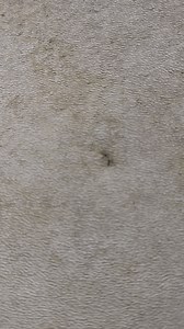 Been a busy time at all the FlexArmor locations. Today we saw another case of a small hole causing big damage. Make sure with all the rain we have been having you inspect your roof to catch holes early. | Flexarmor