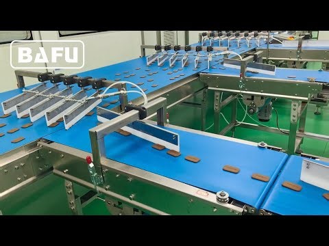 biscuit packaging machine, cake packaging machine, bread packaging machine, flow wrapper, flow-pack