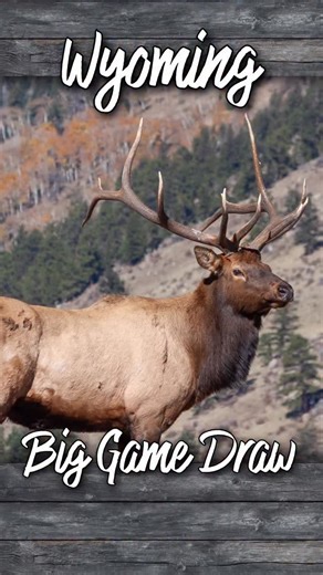 First time applying for the Wyoming Big Game Draw and learning real quick—it’s not just pick a hunt and hit submit. Before you can even apply, you’ve gotta set up a brand-new Wyoming Game & Fish username and password: https://wgfd.wyo.gov/licenses-applications/user-account-information (even if you’ve applied in other states). Once that’s done, the door opens to some of the best big game hunting in the West. Points, units, deadlines… it’s all part of the game. If Wyoming is on your list this year
