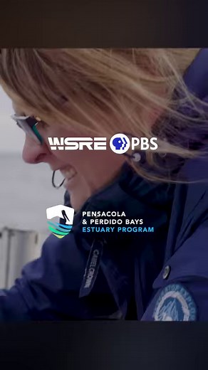 2.3K views · 14 reactions | The Humble Oyster short film screening is in the Amos at WSRE PBS on May 23 at 6pm. Admision is free. Register to attend at wsre.org/events | WSRE | Facebook