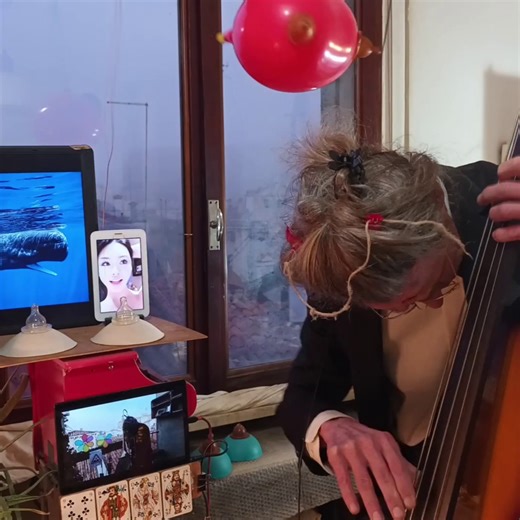 GlobalSoundDownCorona FlashMob on Instagram: "2025-12-29 global sound down corona flashmob hørn-fun (Whao meow: @cha_sohyeon, @carinasitong, @ase.sese, @gopa.noona) #ElectricUprightBass, #TenorTrombone, #Conch, #Mammofone, #DrumMachine, #Percussion, #MillValleyHowl, #Nipples, #FlashMob, #Strings, #Brass, #Saxophone, #Trumpet, #Flugelhorn, #Trombone, #FrenchHorn, #Harmonica, #Clarinet, #Oboe, #Flute, #Violin, #Viola, #Guitar, #Cello, #ElectricBass, #FretlessBass, #BassUkelele, #DoubleBass, #Globa