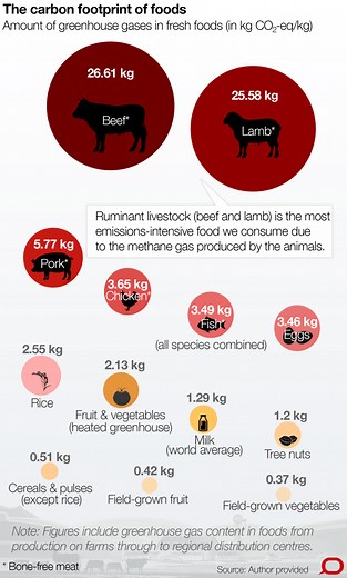 Here's the real impact of the food we eat on the environment
