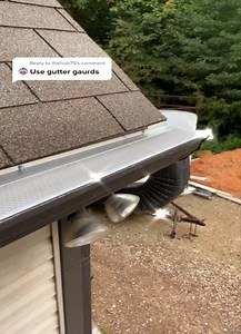 25K views · 178 reactions | Rainwater drainage pipe | Smart builder | Facebook
