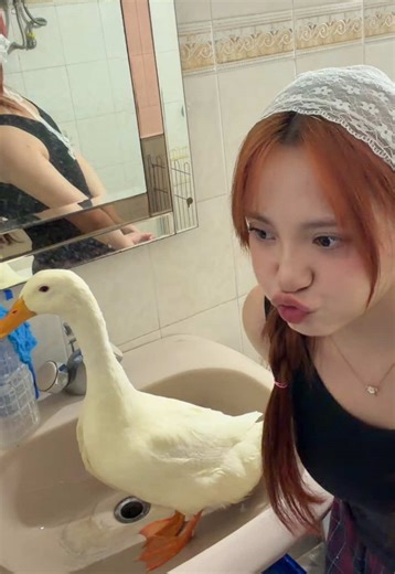 Sama Chipi Sebelum Kena Patok Jambul