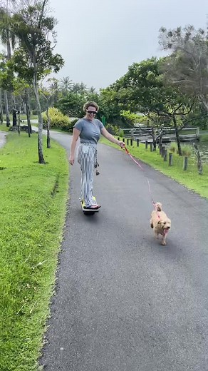 Creative Dog Walking with Ninja Fam