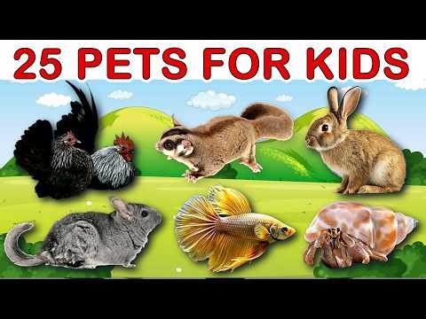Learn 25 Cute Pets for Kids - Funny Animal Names for Children | Animals Video