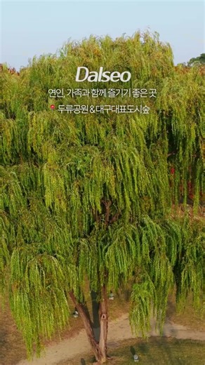 도시의 하루에 숲을 더하다 | 대구대표도시숲&두류공원