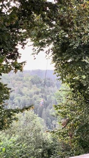 Zip-lining Adventure, Forested Valley from Travis P. 🌲