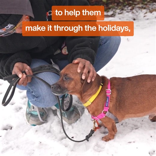 We know that the days leading up to Christmas are busy for many, but nationwide, animal cruelty victims are still left without anything to celebrate. As you reflect on this year, please remember the animals left out in the cold, those denied food and love, and who suffer at the hands of abusers. These are the animals we must rescue and protect, and we can’t do it without you. Your special holiday gift can help us rescue neglected animals and support their journeys so that they can find loving ho