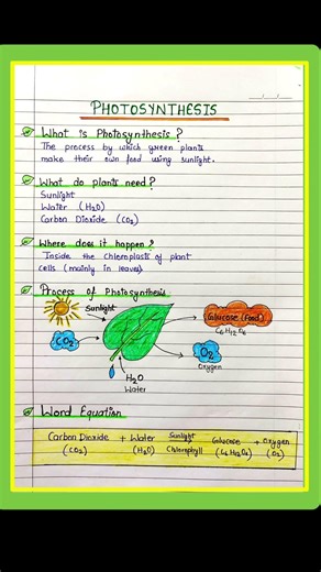 Photosynthesis Process & Importance/What is Photosynthesis ? #science #boilogy #education #learning