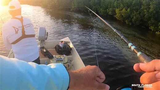 The shrimp fishing trip that lit up the Florida Keys