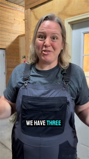 Alpaca birthing kit. What’s in it? How do we prepare? #eagleeyefarm #farmgirlfab #eagleeyefarmwi #cuteanimals #alpaca #farmlife #alpacafarm #animallovers | Eagle Eye Farm