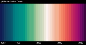Ocean Carbon 4 Climate