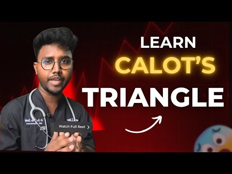 Calot’s triangle simplified ||Drsalmansekh ||medical college mbbs