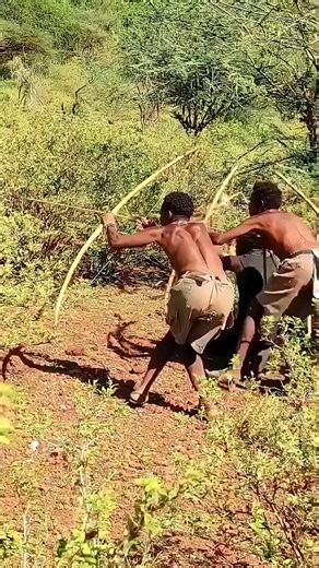 Hoje Cacei um Veado | Caça Real na Natureza Selvagem 🦌#reels