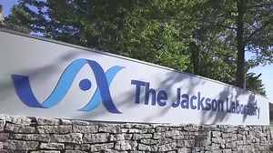 Former Jackson Laboratory researcher under federal investigation for Chinese ties