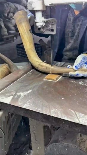 [FULL STORY] My father body-shamed me and made me cry in front of our entire family, so I gave him a brutal reality check and told him I never wanted to see him again. #reddit | Restoration Monk