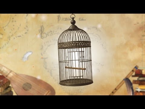 Birds in music