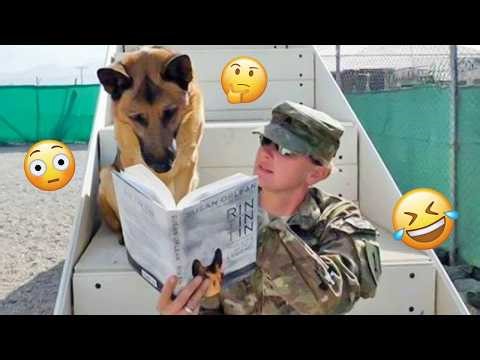 I'm 101% SURE that you will LAUGH EXTREMELY HARD- Funny Dog 2026 #291