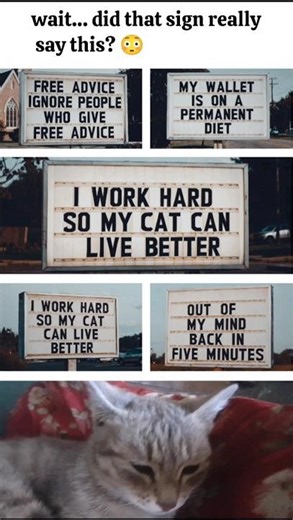 funniest public signs that will make you laugh 🤣