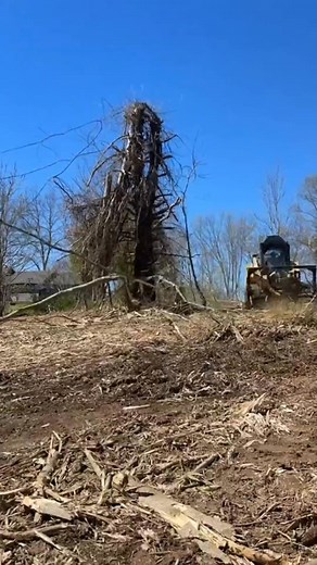 Land reclamation and weeding skid steer loader | Loc Qaxi