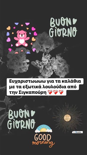 Georgia Papazoglou on Instagram: "ΝΑ ΜΕ ΧΑΙΡΕΣΤΕ ΒΡΕΕΕ ❤️‍🔥ΕΧΩ ΣΚΟΠΟ ΝΑ ΧΤΥΠΗΣΩ ΤΑ 100 ❤️‍🔥ΕΑΝ ΘΕΛΕΙ Ο ΔΗΜΙΟΥΡΓΟΣ ΤΩΝ ΠΑΝΤΩΝ ΚΑΙ ΑΠΑΝΤΩΝ❤️‍🔥 #bestgreektiktoks❤️‍ #ψυχοφλιπ⚽️ #georgiazetahappiness🦹🏽‍♀️ #georgiazetatruth💞 #georgiazetabelieve🪭 #bestgreektiktoks🧘🏻‍♀️ ---"