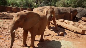 23K views · 701 reactions | Are you getting dirty for Earth Day? Here's how you can help out! | Nickelodeon | Facebook