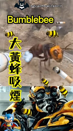 大黃蜂抽煙｜Bubblebee Smoking｜#變形金剛 #transformers #大黃蜂 #bubblebee #死亡 #death #惡搞 #bee #insects