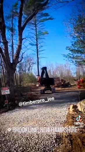 TimberPro on Instagram: "Anyone else like watching skilled operators work? Definitely helps when you have a machine that’s capable of showing off your skills. Don’t forget to tag @timberpro1 so we can see your skills. #timberpro #logging #fellerbuncher #power #beauty #heavyequipment #logginglife #speed #quadco #newhampshire"