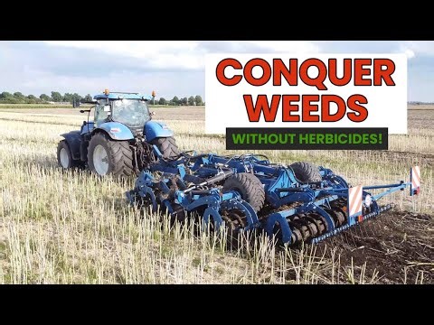 Weed Control Without Chemicals!
