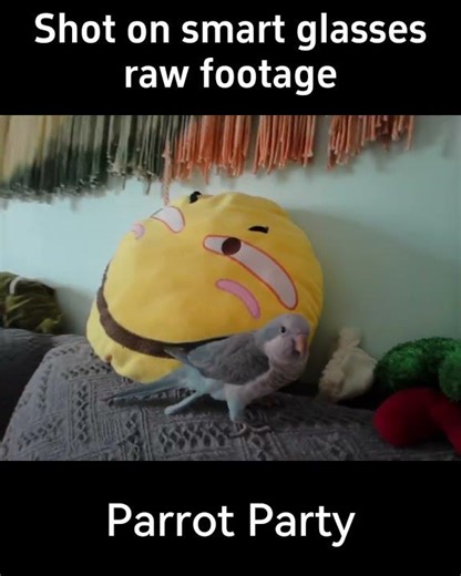 👉 Smart Glasses Camera Test | Real Footage Parrot