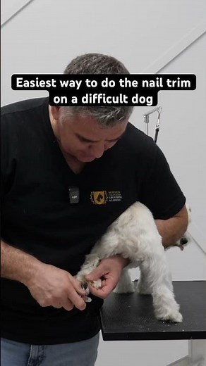 Easiest way to do a nail trim on a difficult dog #grooming