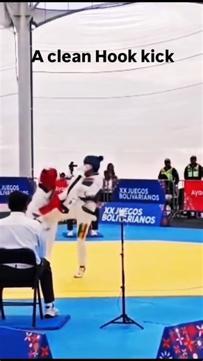 a clean hook kick #taekwondo #taekwondo knockout #head kick #taekwondo #roundhouse kick #master kick