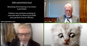 Lawyer Accidentally Uses Kitten Filter During Zoom Session, Hilarity Ensues