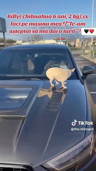 Vidéos de the hitman (@the.hitman5) avec sunet original - the hitman