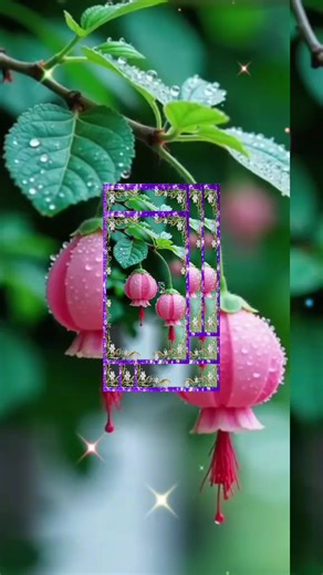 Mawar merah (@mawar.merah6842)’s videos with son original - Mouzaak ✌🏻