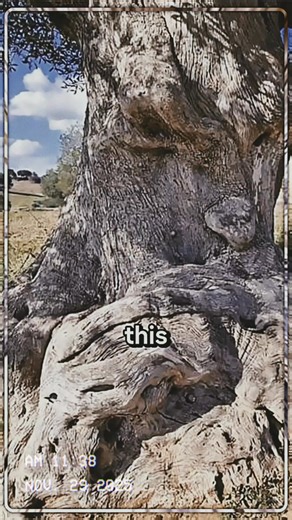 1.4K views · 11 reactions | Ancient Alien | Knowledge and Wisdom | History and Discovery | Egypt and Anunnaki | Old World Tartaria part 26 - #ancientaliens - #ancientwisdom - #trendingvideos - #viralreels - #anunnaki - #historymatters - #conspiracy - #billycarson | AncientKnowledge2023 | Facebook