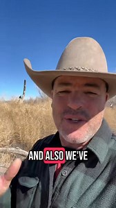 Out with the bad, in with the good. The goats are reducing invasive weeds to reduce fire risk and clear the way for native vegetation to grow. #goats #goatscaping #goatgrazing #grazinggoats #contractgrazing #contractgoatgrazing #targetedgrazing #targetedgoatgrazing #grazingsystems #prescibedgrazing #prescribedgoatgrazing #systemsgrazing #rentagoat #yardmaintenance #weedremoval #firefuelreductionw #brushremoval #thegoatguy #goatguy #newmexico #bosque #newmexico #cowboymax | Galloping Goat Pumpkin