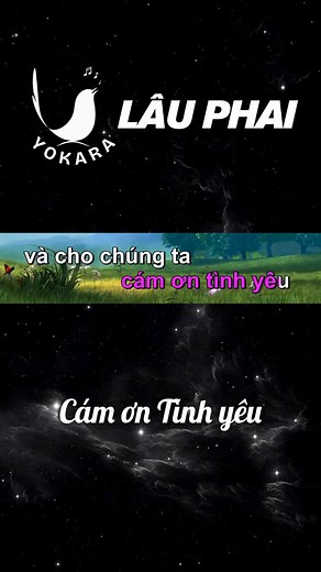 Cám ơn Tình Yêu - Karaoke Hay Nhất