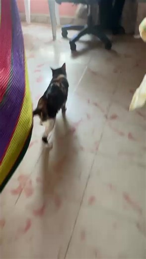 Videos de telesa (@telesa032) con “sonido original - telesa”