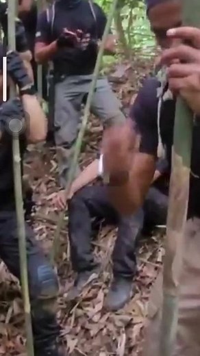 #primitivesurvivalskills #fyp #primitivefiremaking