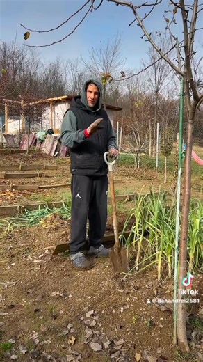 Astăzi scot prazul pentru iarnă. Da, eu. Actor, filosof de Facebook și acum… gospodar de sezon. Dacă mai continui așa, la primăvară dau și lecții de agricultură: „Cum să vorbești cu prazul ca să crească frumos.” 🤓 — Gândim, Râdem, Trăim — Dan Andrei #DanAndrei #GândimRâdemTrăim #Autoironie #PrazDeIarnă #Viral | Dan Andrei